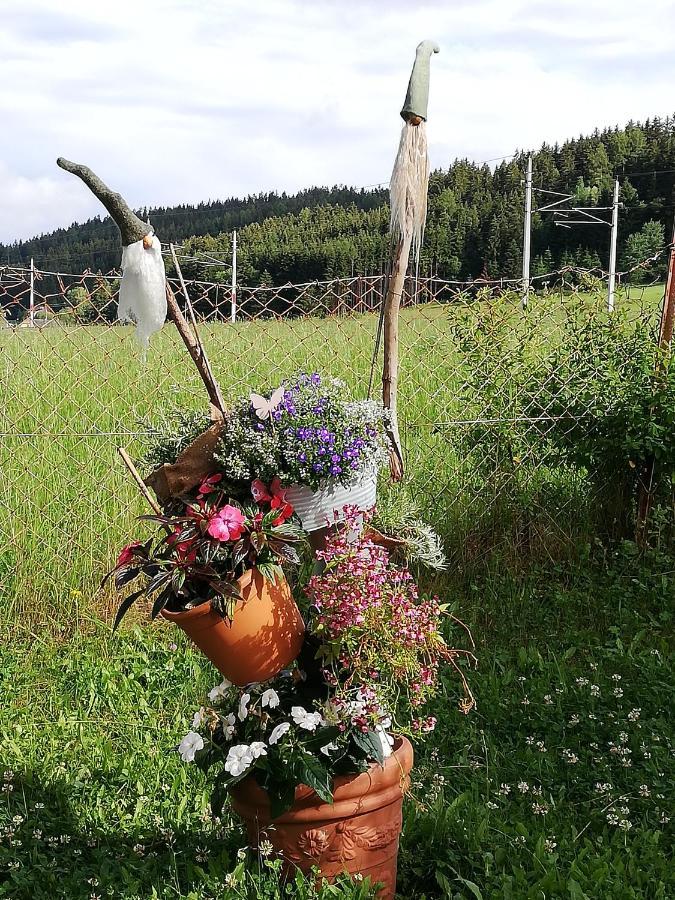 Haus Petra Apartman Neumarkt in Steiermark Kültér fotó