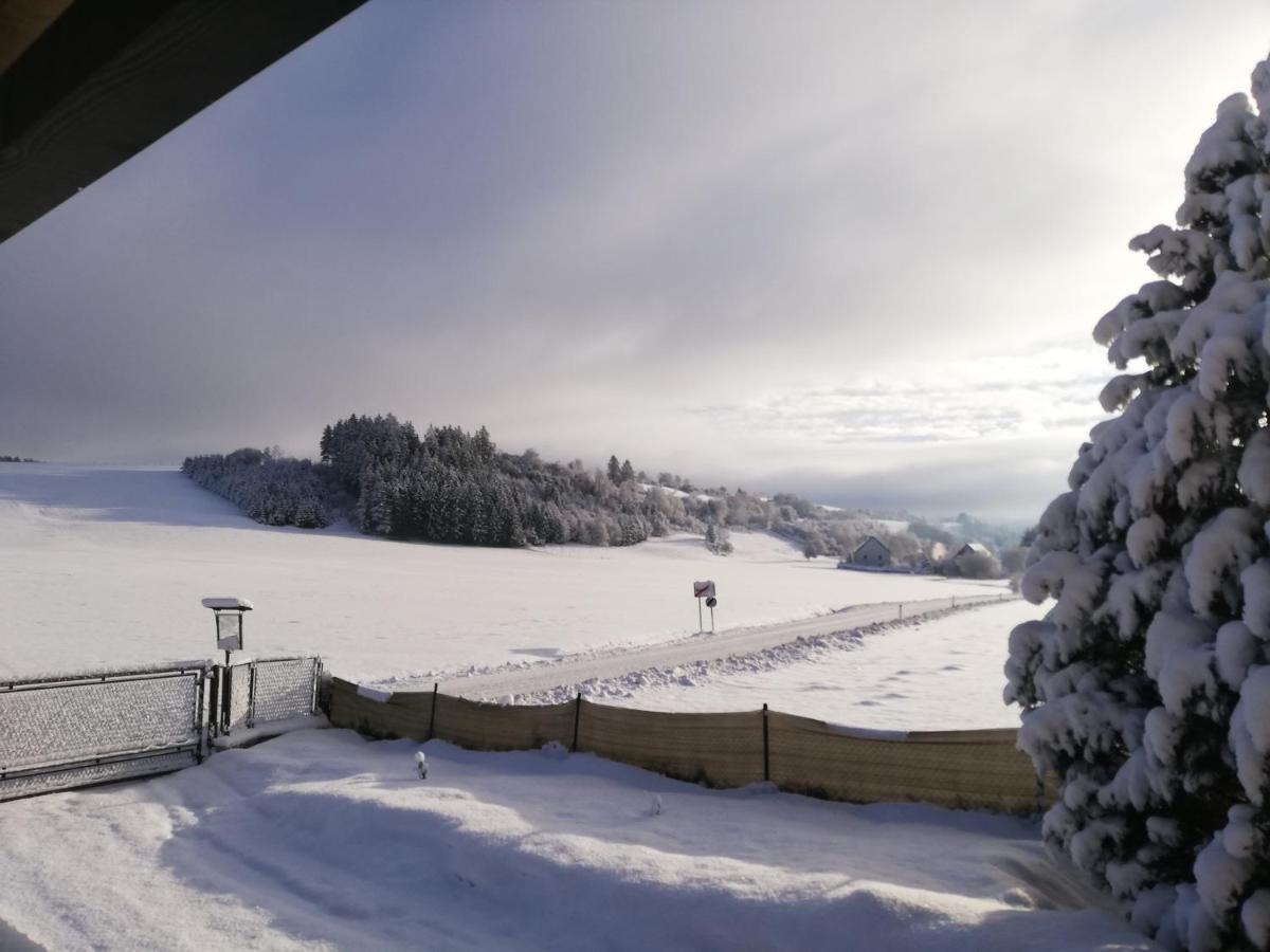 Haus Petra Apartman Neumarkt in Steiermark Kültér fotó