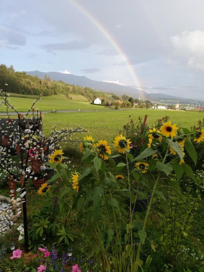 Haus Petra Apartman Neumarkt in Steiermark Kültér fotó