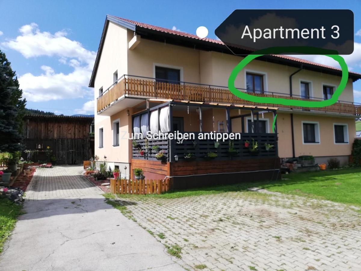 Haus Petra Apartman Neumarkt in Steiermark Kültér fotó